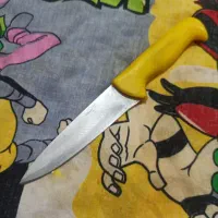 چاقو بیخسی و مصقل