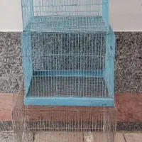 قفس