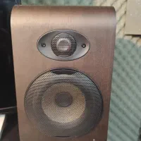 مانیتورینگ focal