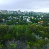 شاندیز فردوسی زمین ۵۵۰ متر دور دیوار پروانه تسویه