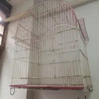 قفس پرنده
