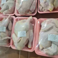 مرغ اکبر جوجه منجمد درجه ۱