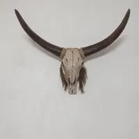 دیوارکوب جمجمه دکوراتیو