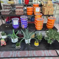 استند..یک انتخاب حرفه‌ای برای فروش بیشتر
