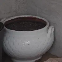 گلدان بزرگ