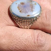 شجر طبیعی و زیبا با رکاب بهزاد روستایی