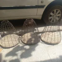 قفس کبک
