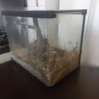 اکواریوم ماهی.قفس پرنده