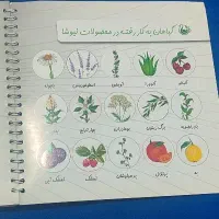 کتاب درسی یازدهم انسانی ، کتاب برنامه ریزی ،