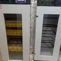 مشارکت در جوجه کشی