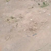 زمین-قطعه-ی-786