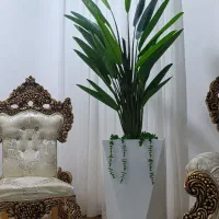 گلدون|گل مصنوعی|ایلام, |دیوار