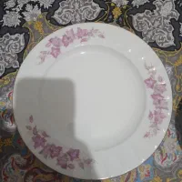 فقط برنج خوری