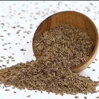عطاری رخشانی