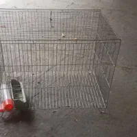 قفس بزرگ