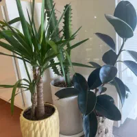 نیروی خدمه برای سالن زیبایی