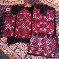 زی استین