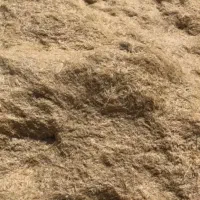 کاه گندم