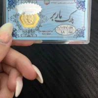 سکه پارسیان