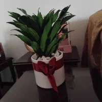 گل با گلدان طبیعی