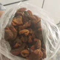 قیصی