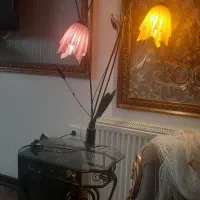 شب خواب سه شاخه