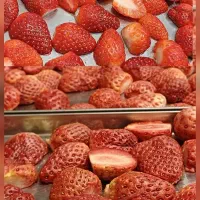 میوه و بستنی خشک