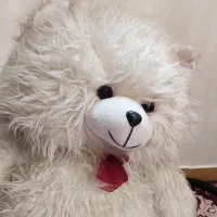 عروسک|اسباب‌‌بازی|رشت, بازار|دیوار