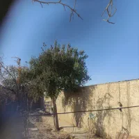 خانه ی قدیمی درایوانکی