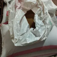 بذر یونجه