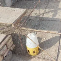یک عددطور دانه