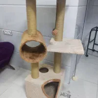 اسکرچر و خانه گربه