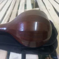 تار و ۳تار