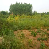 فروش زمین با چشم اندازی زیبا
