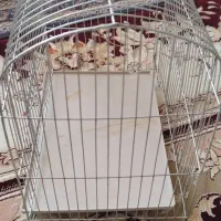 قفس گنبدی