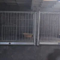 قفس جفت کن 60در 90