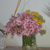 گل و گیاه ۱۲۵.به متن توجه کنید.سال ۹۵