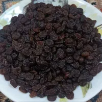 کشمش تاکستان