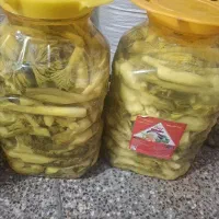ترشی بیلهر