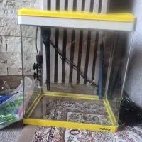 آکواریوم