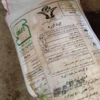 کود سفید