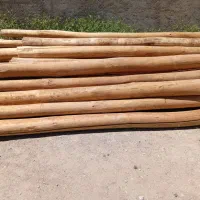 فروش چوب نو نو سقفی