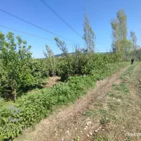 300-متر-زمین-باغی