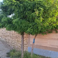 منزل مسکونی