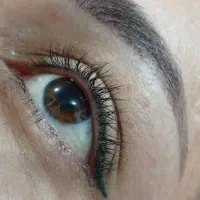 ابرو و مژه