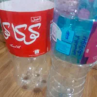 قوطی