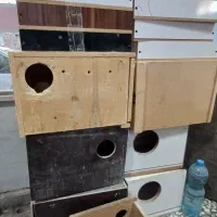 فروش لانه عروس و ملنگو و گرینچیک