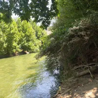 فروش باغ