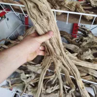 چوب آکواریوم