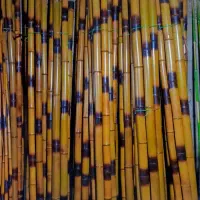 پخش دست اول خیزران و بامبوسبزوسنپلاس